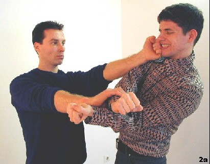 Figure 3 - Sifu's Punch hits the opponent