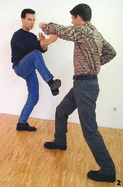 Wing Tsun Exercise 3, Fig. 2 - Opponent takes a blow and we proceed 