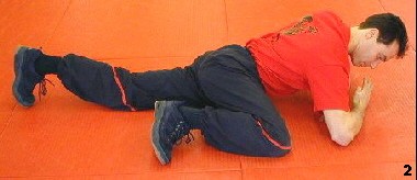 Wing Tsun Course, Fig. 2 - as his left ellbow and two legs form a triangle this position allows different actions in stable position