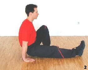 Wing Tsun Lesson 15, Fig. 2 - Sifu swings up and pushes from the ground