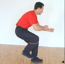 Wing Tsun Lesson 15, Fig. 4 - He pushes with his left leg