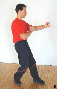 Wing Tsun Lesson 15, Fig. 5 - As soon as he is in standing position he keeps one leg in front